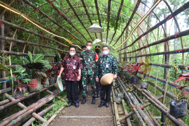 Forkopimda Dampingi Petani Wiwitan Panen Kopi